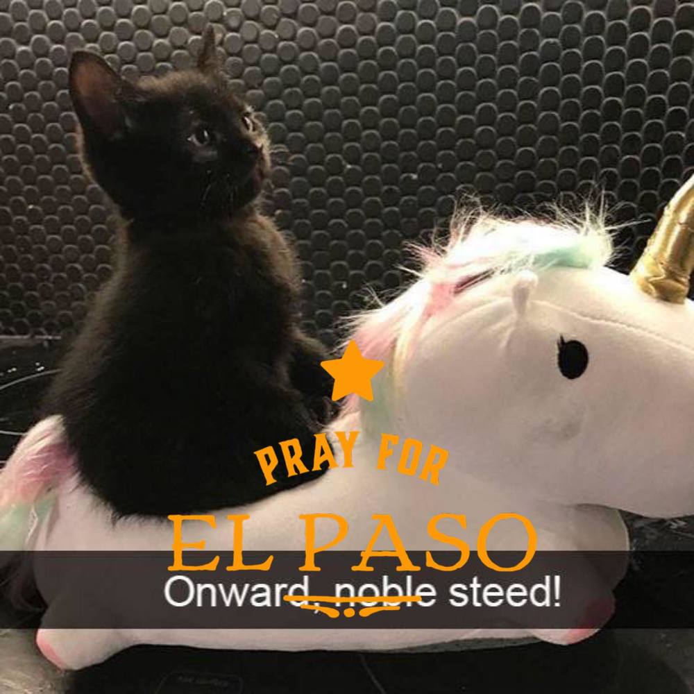 Meet your Posher, John